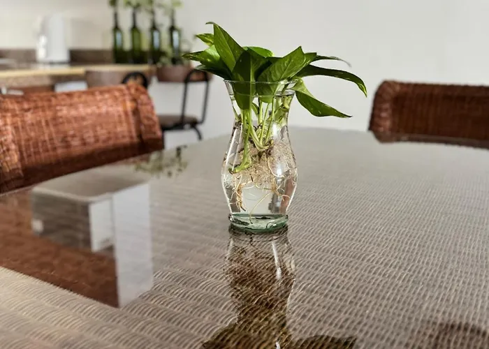 Hermosa Y Comoda Casa Con Alberca Compartida En Homestay